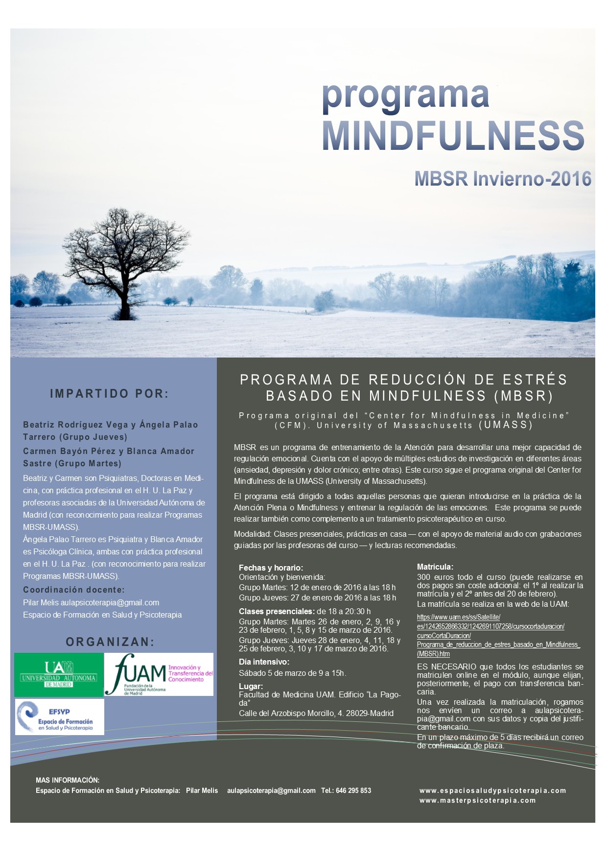 Programa De Reducción De Estrés Basado En Mindfulness Mbsr Invierno 16 Máster En Psicoterapia